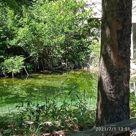 Via Dinarica Guesthouse Jablanica Номер фото